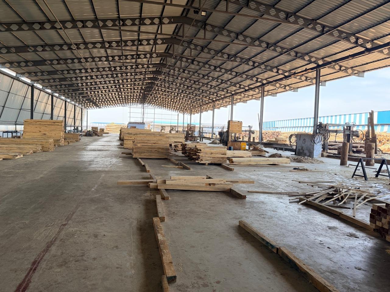 Sawmill facility interior with sawn timber and band saw equipment, Gandhidham