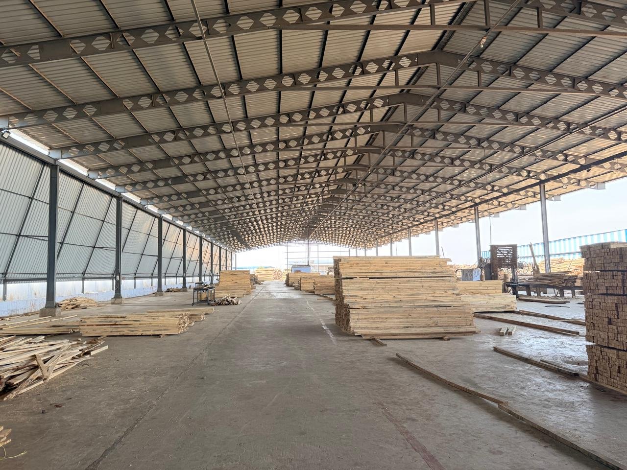 Wide view of AAS sawmill shed with stacked sawn timber, Gandhidham Gujarat