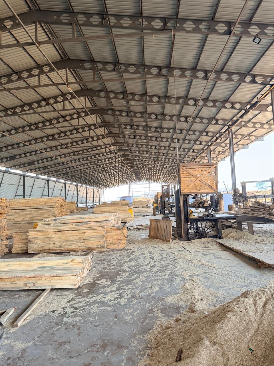 Sawmill operations with fresh sawdust and timber planks at Ashok Aggarwal & Sons