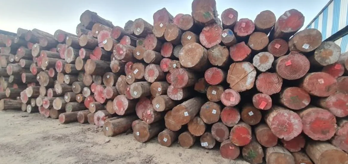 Large diameter round logs stacked outside warehouse