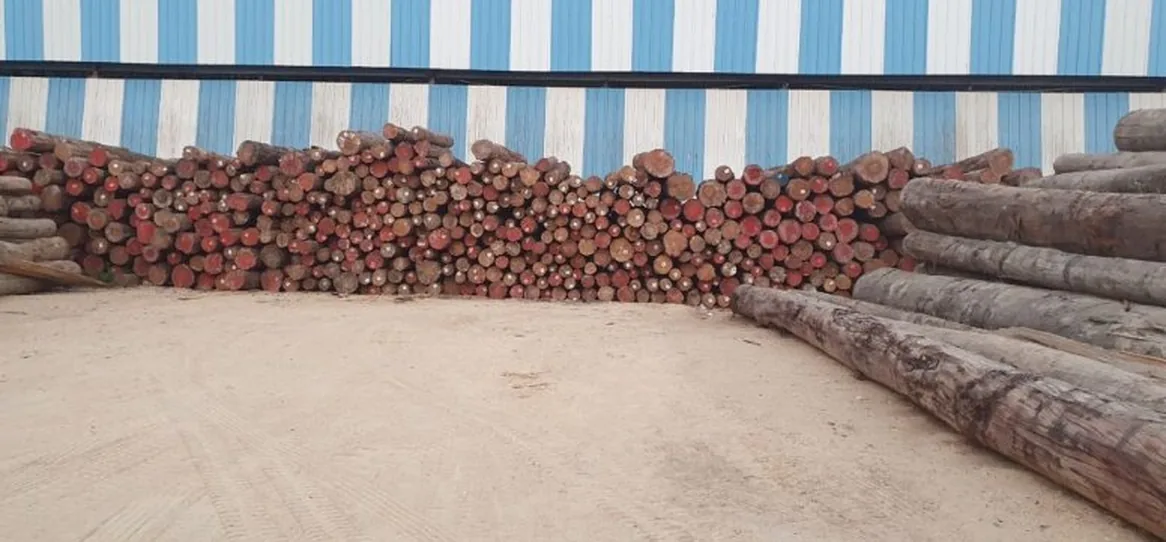 Interior view of sawn timber warehouse with stacked planks