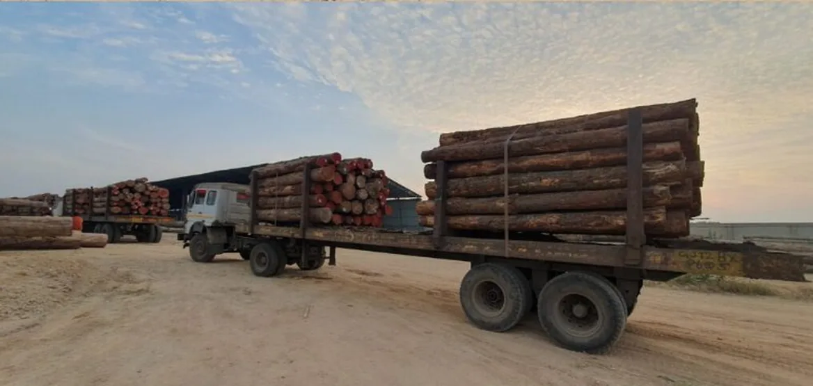 Round logs stacked against warehouse exterior at Ashok Aggarwal & Sons